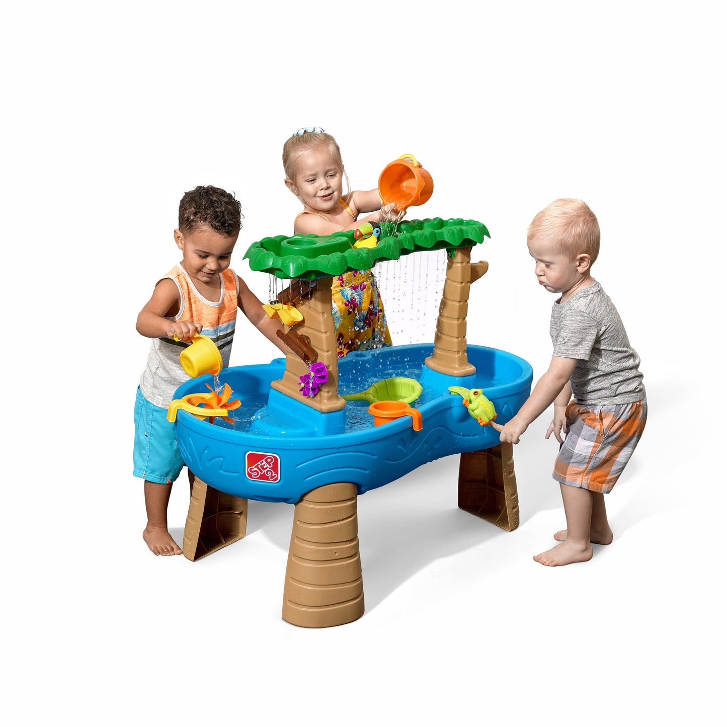 Tropical Rainforest Water Table