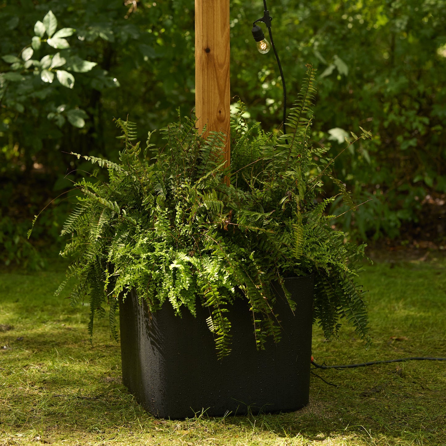 Firefly String Light Pole Stand with Planter™ (2pk)
